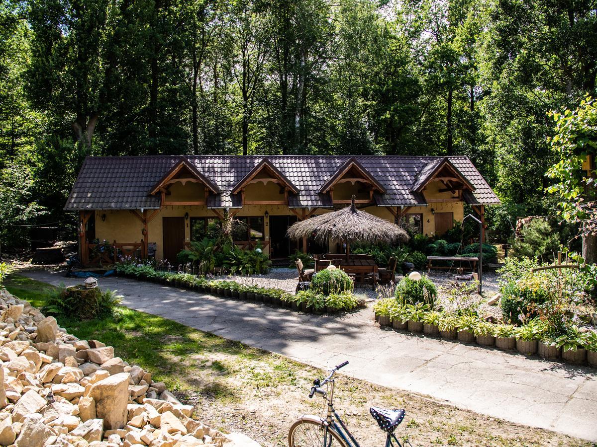 Agromurena Gryfów Śląski Εξωτερικό φωτογραφία